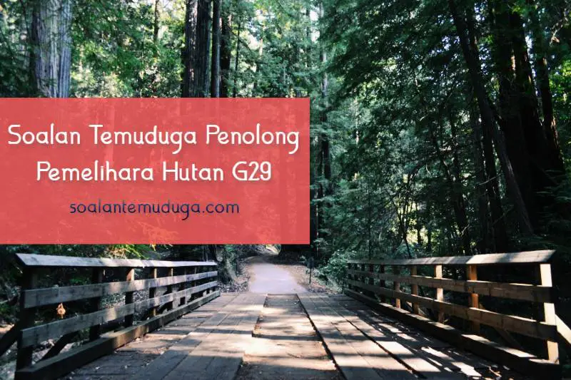 Soalan Temuduga Penolong Pemelihara Hutan G29